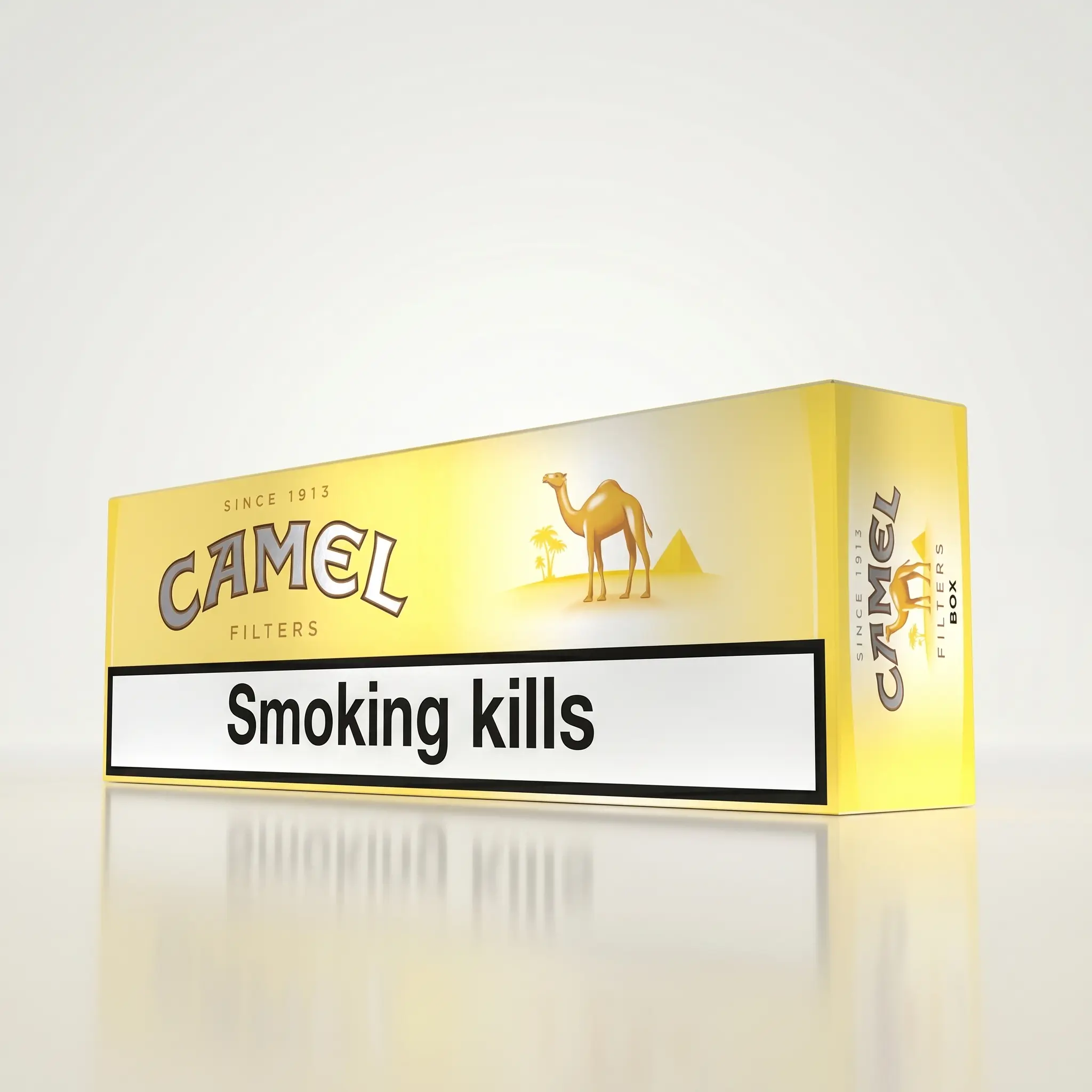 Camel Filters Cigarettes Premium tobacco blend (10 Packs)