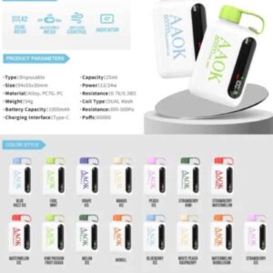 AAOK Y160B 60000 Puff Disposable Vape Kit – 2% Nicotine